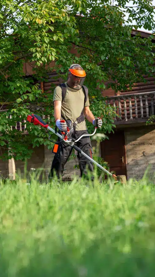 Jardinage service à la personne